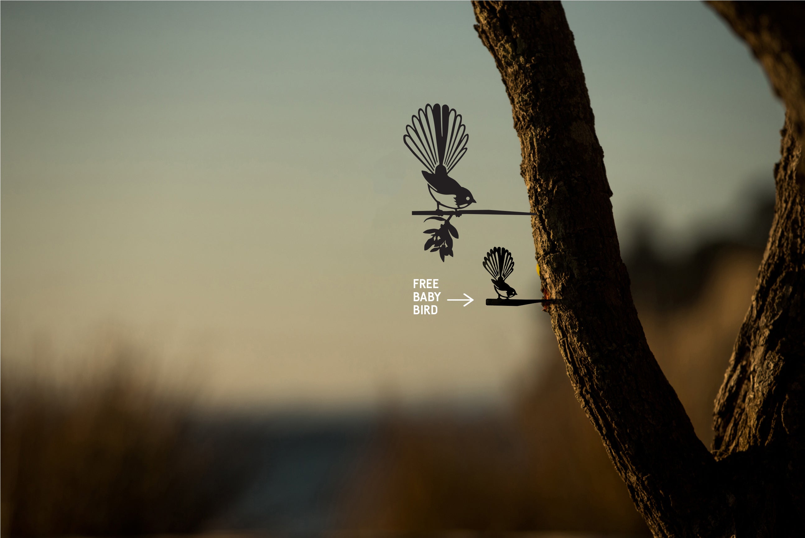 FREE Baby Bird With Every Order