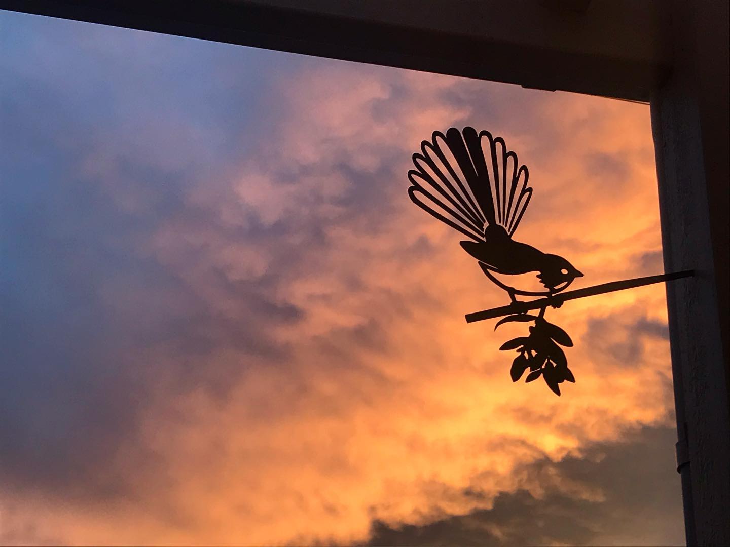 When the Nest Empties