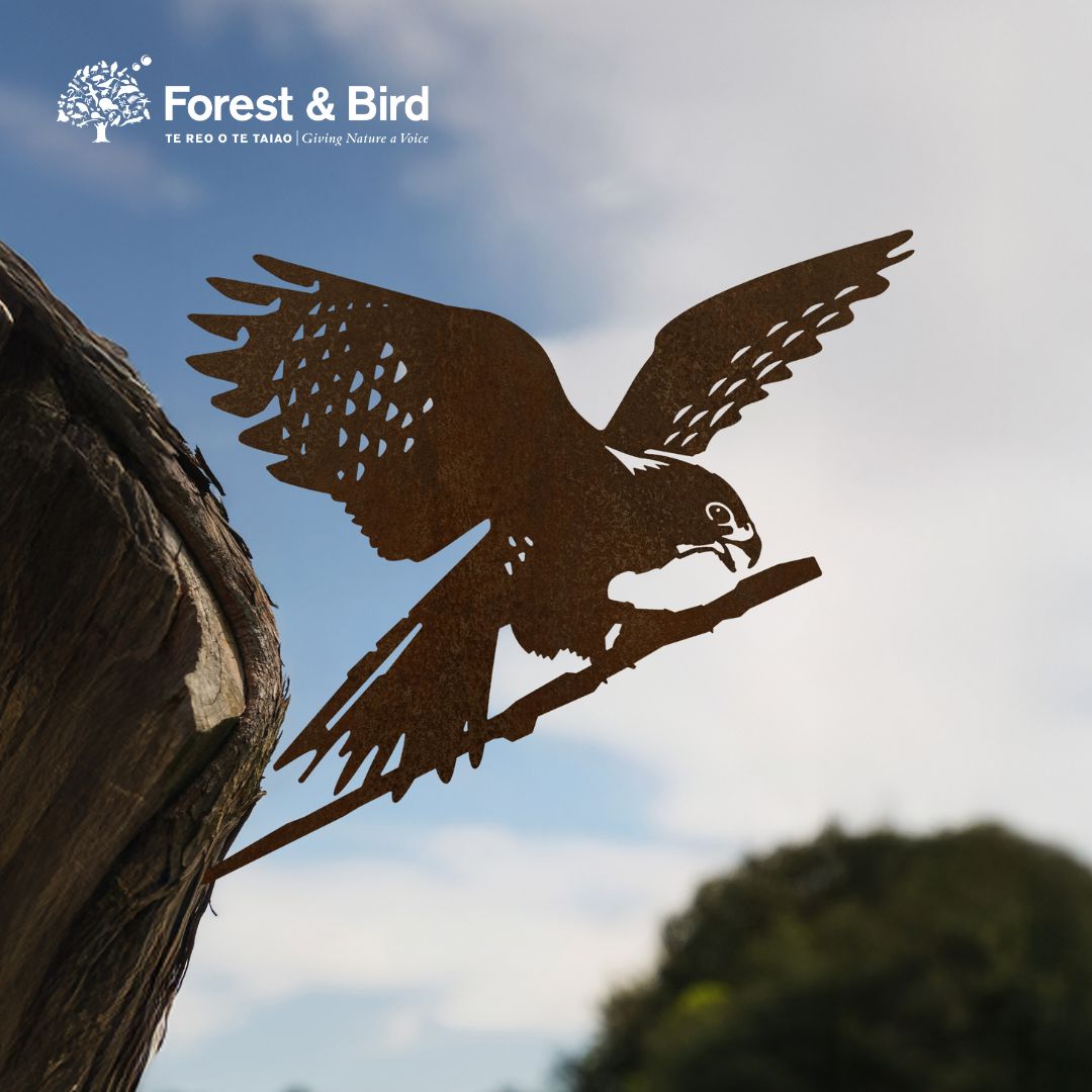 The Metalbird New Zealand Kārearea: Wings of Glory silhouette perches on a branch against trees and blue sky, with the Forest & Bird logo above. Celebrate Bird of the Year 2025!.