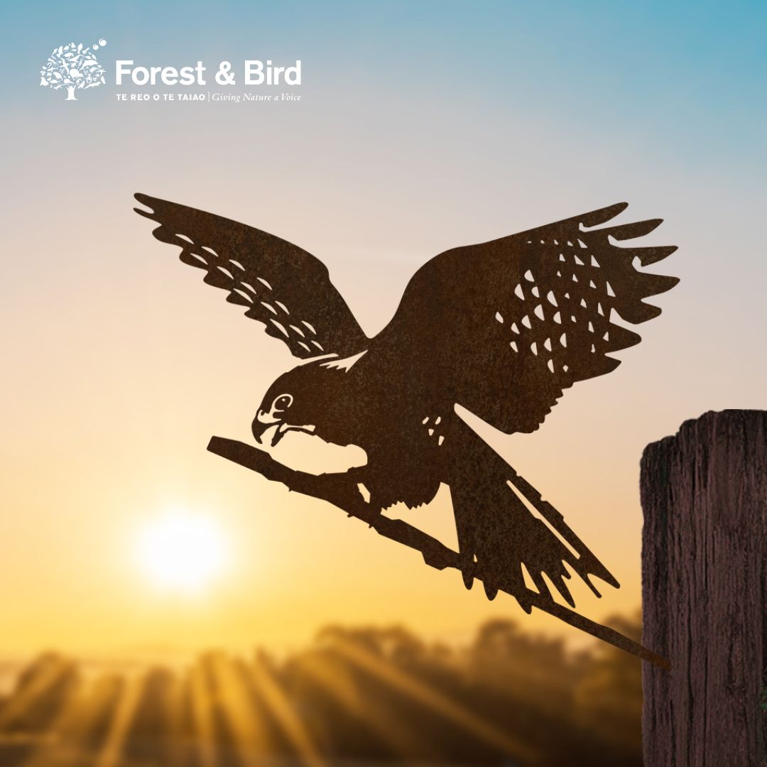 A Metalbird New Zealand silhouette, Kārearea: Wings of Glory, perches on a branch against a sunrise. The Forest & Bird logo in the top left celebrates Bird of the Year 2025.