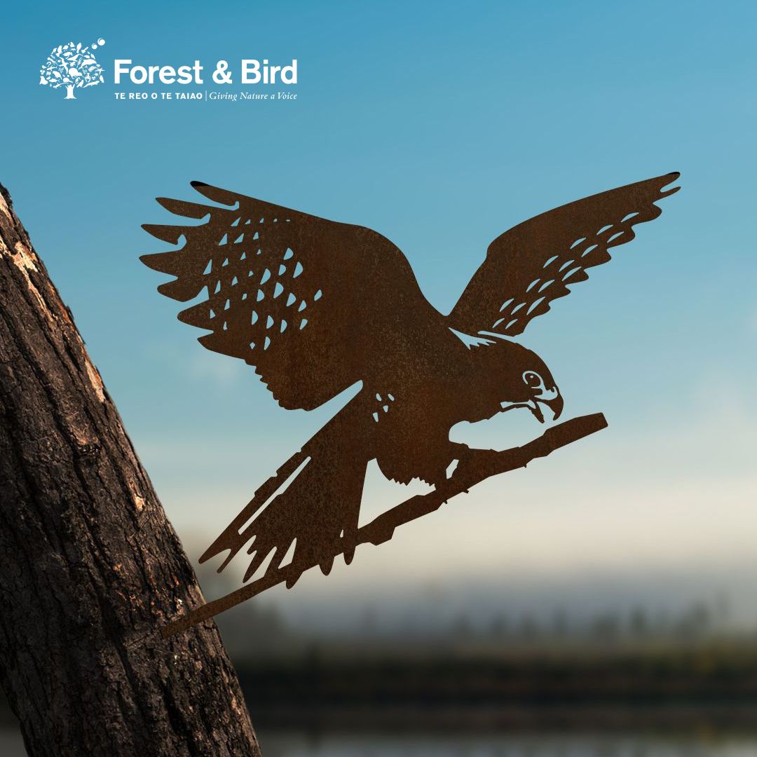 The Metalbird New Zealand Kārearea: Wings of Glory silhouette perches on a tree trunk, set against a blurred natural background with the Forest & Bird logo in the top left corner.