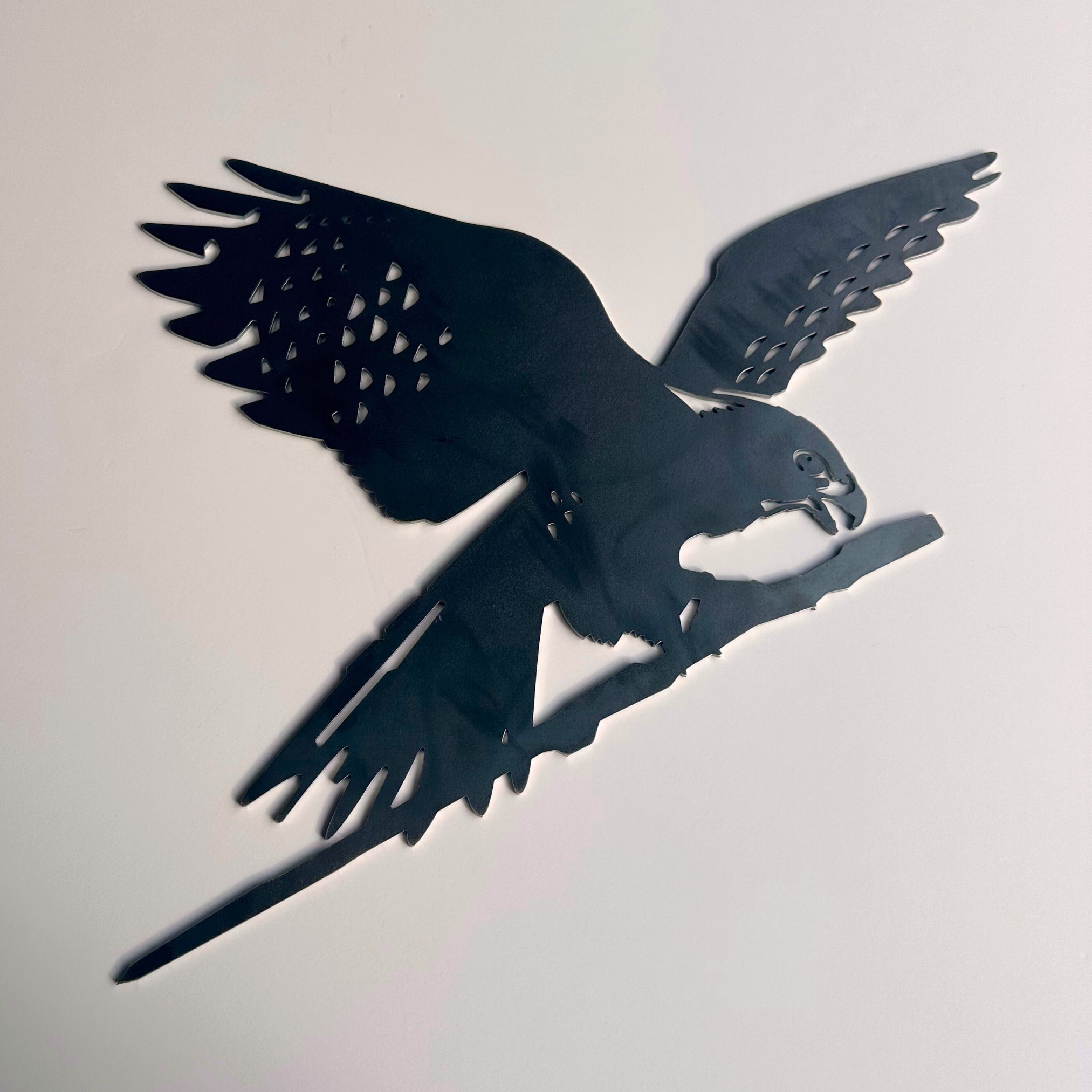 The Kārearea: Wings of Glory by Metalbird New Zealand is a black metal wall art sculpture of the Bird of the Year 2025, shown in flight clutching a branch, mounted on a light-colored wall.