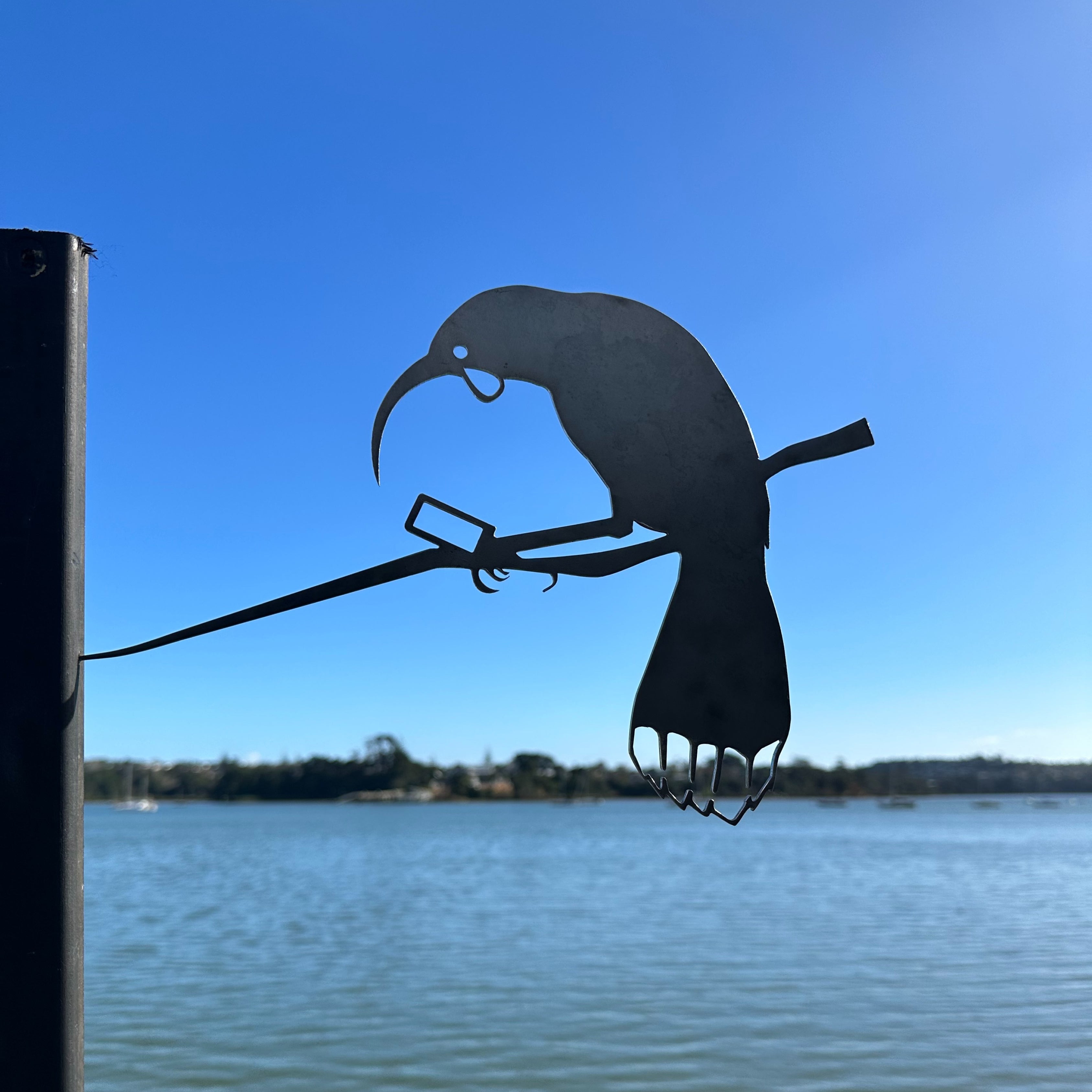 Huia Gonna Call