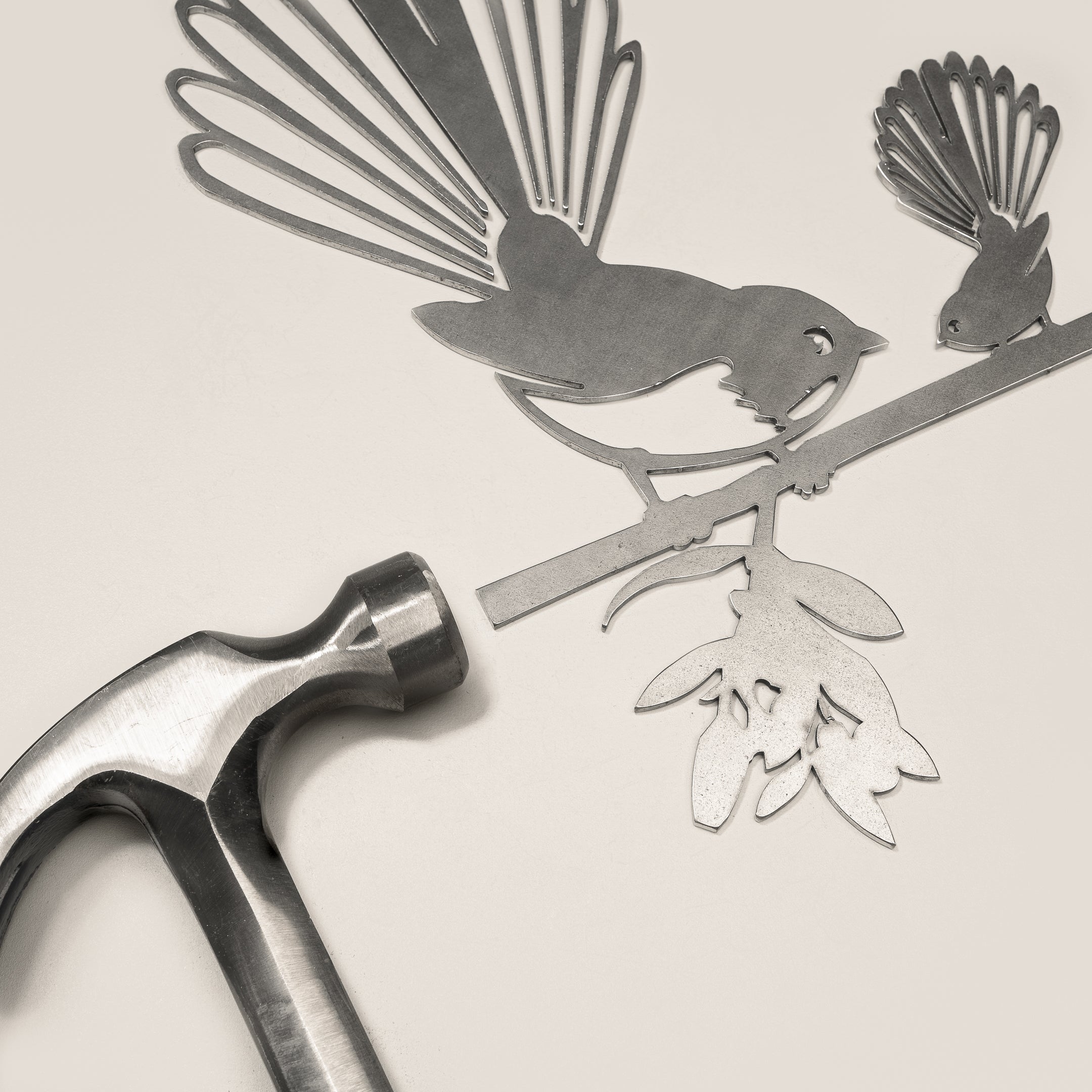 Fantail (Pīwakawaka ) and Baby