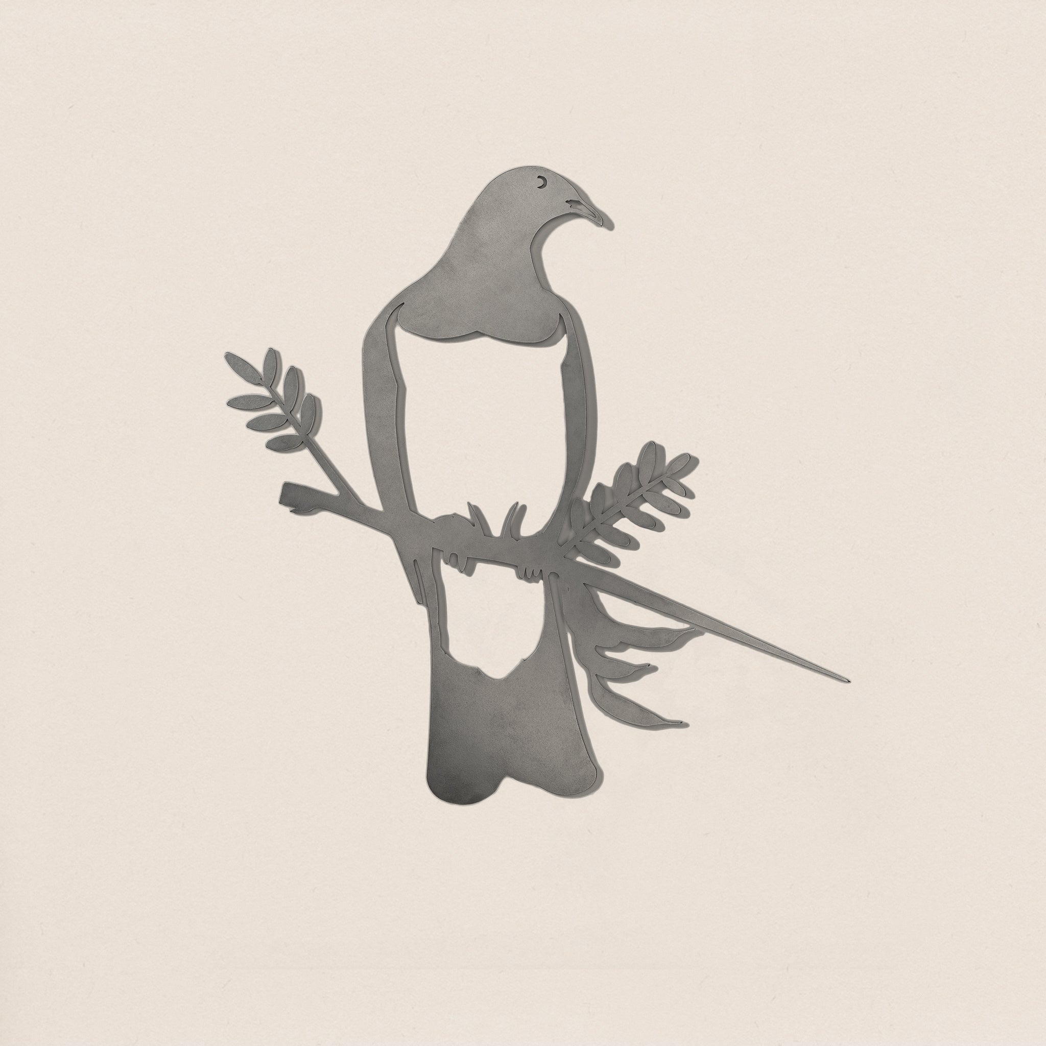 Kererū / Wood Pigeon