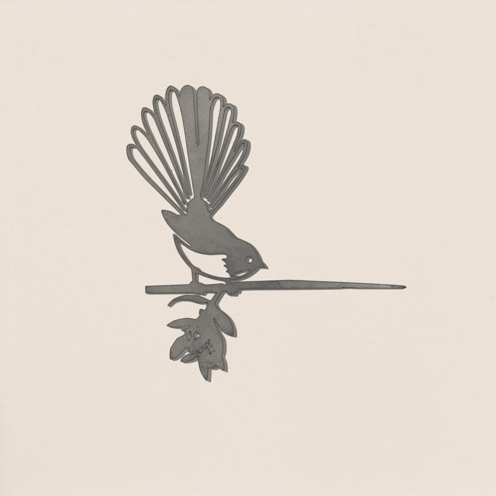 Fantail (Pīwakawaka)