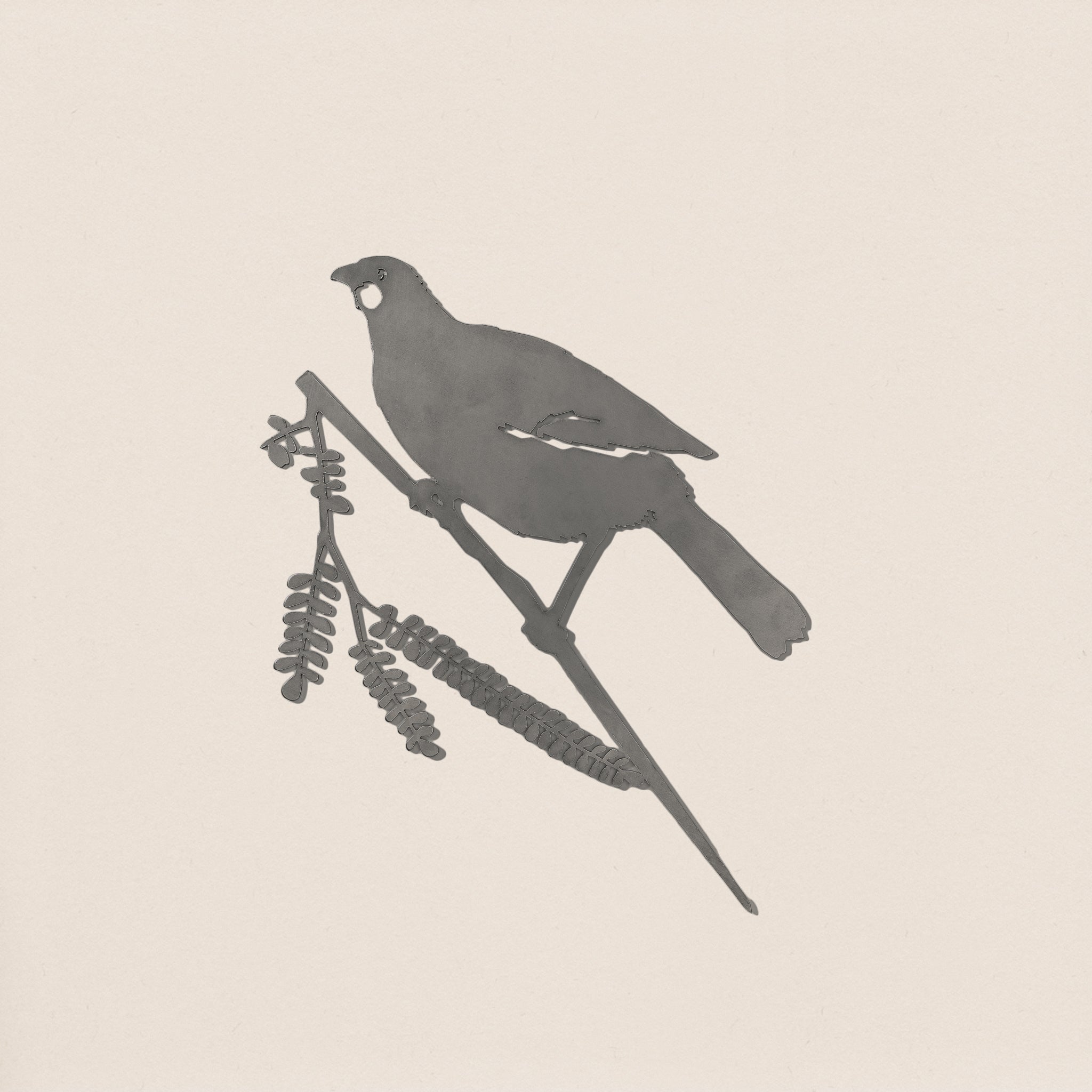 Kōkako