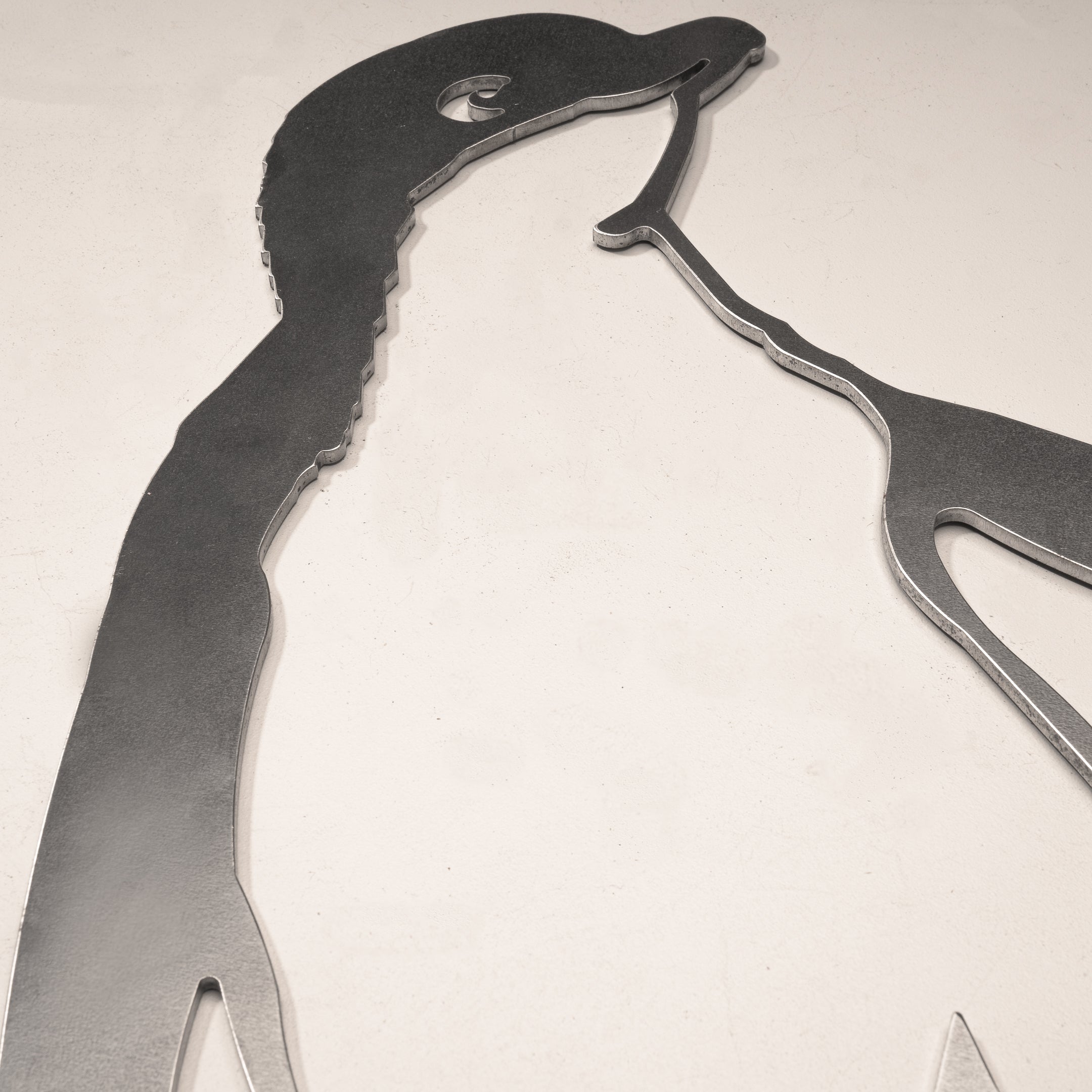 Kororā / Little Penguin