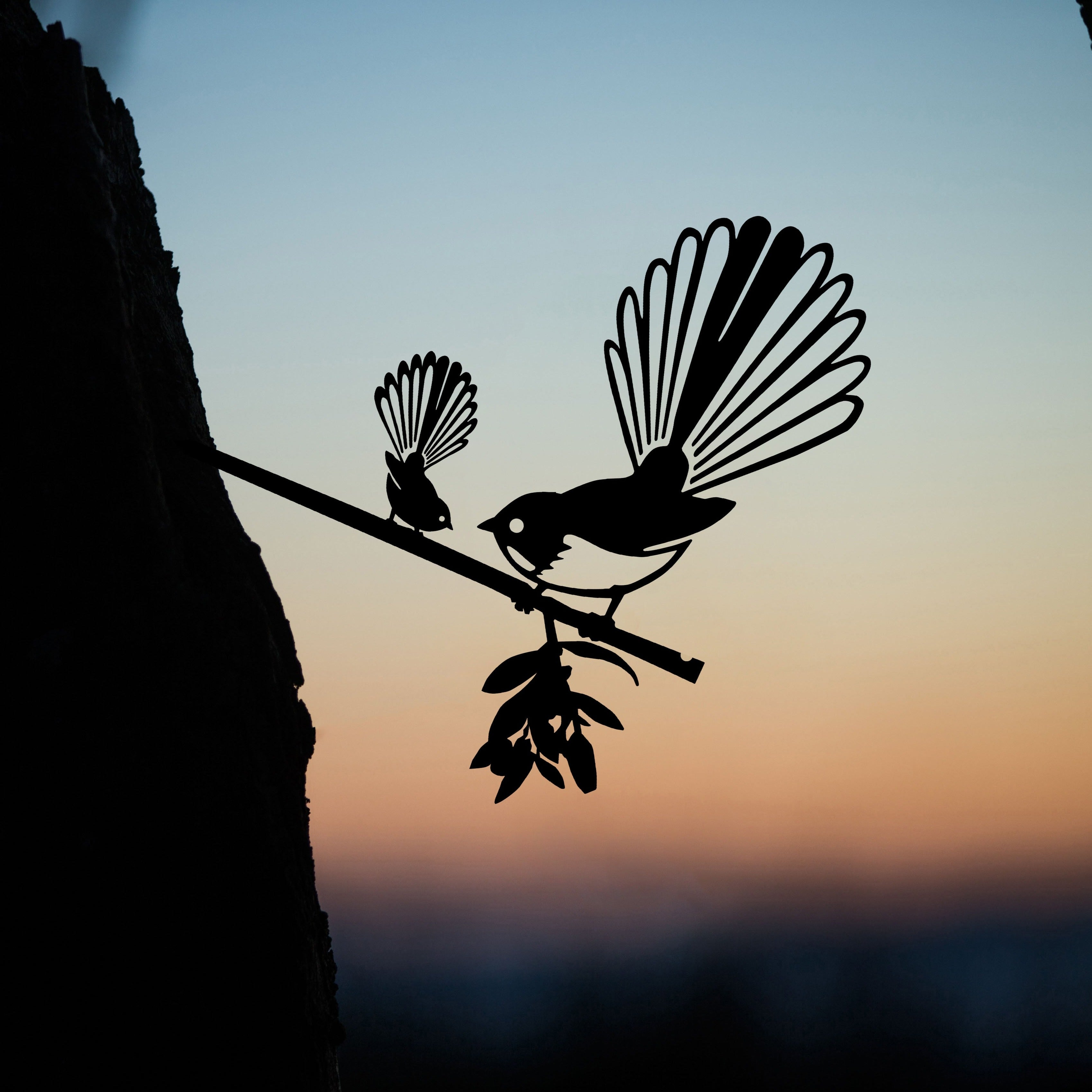 Pīwakawaka (Fantail) and baby - Large