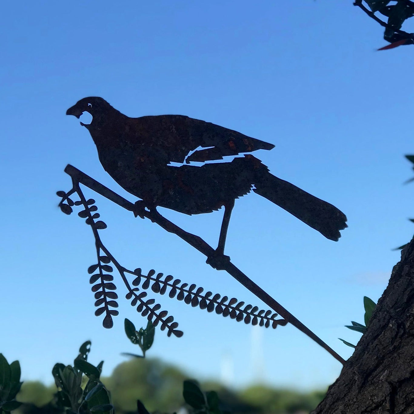 Kōkako