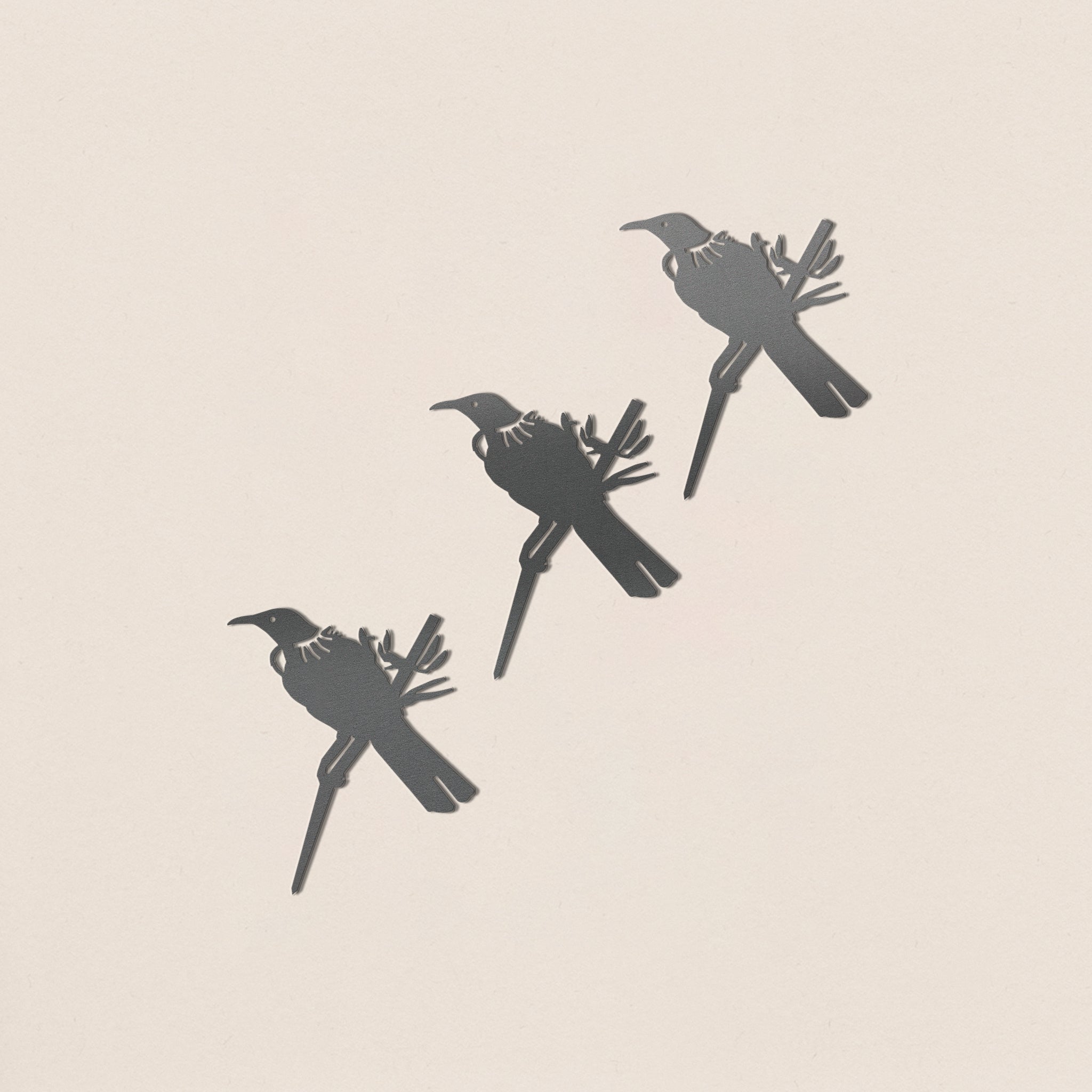 Baby Bird Bundle - Tūī Trio