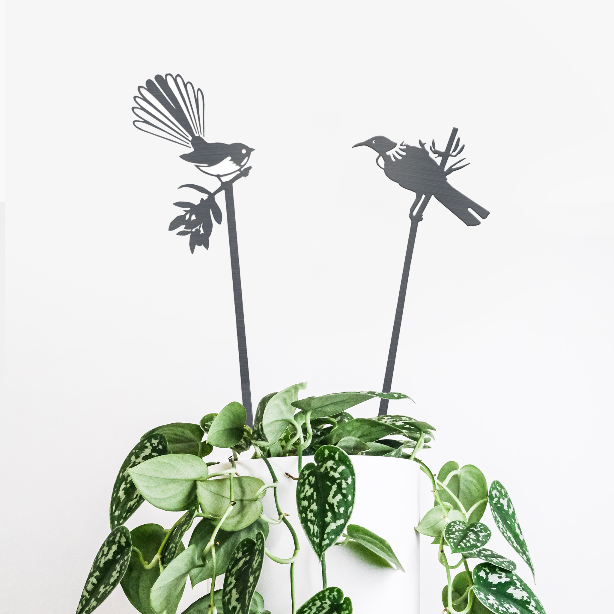 Pair Of Plant Stakes