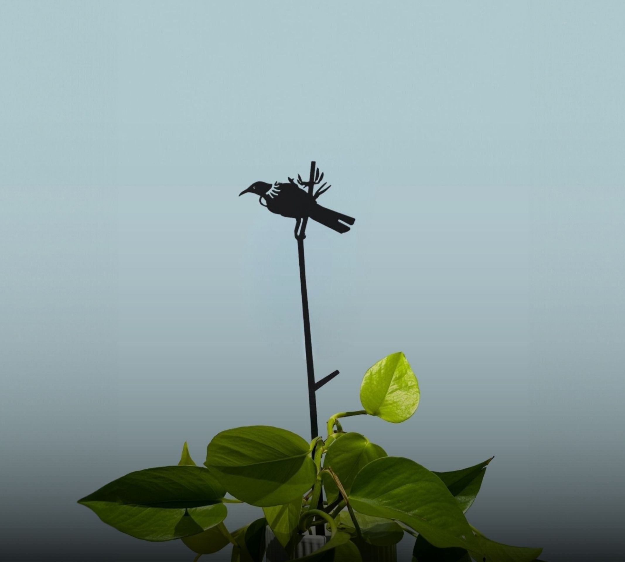 PLANT STAKES