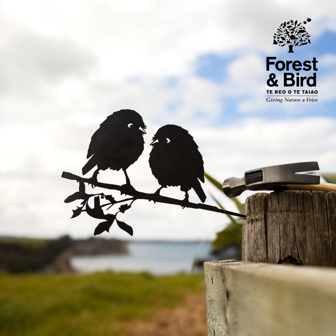 Karure (Black Robin) Pair