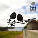Karure (Black Robin) Pair