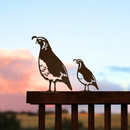 Two life-sized quail decor silhouettes from the Metalbird New Zealand Quail Mum & Mini Set are mounted on a wooden fence rail at dusk—an ideal garden gift NZ nature lovers will adore.