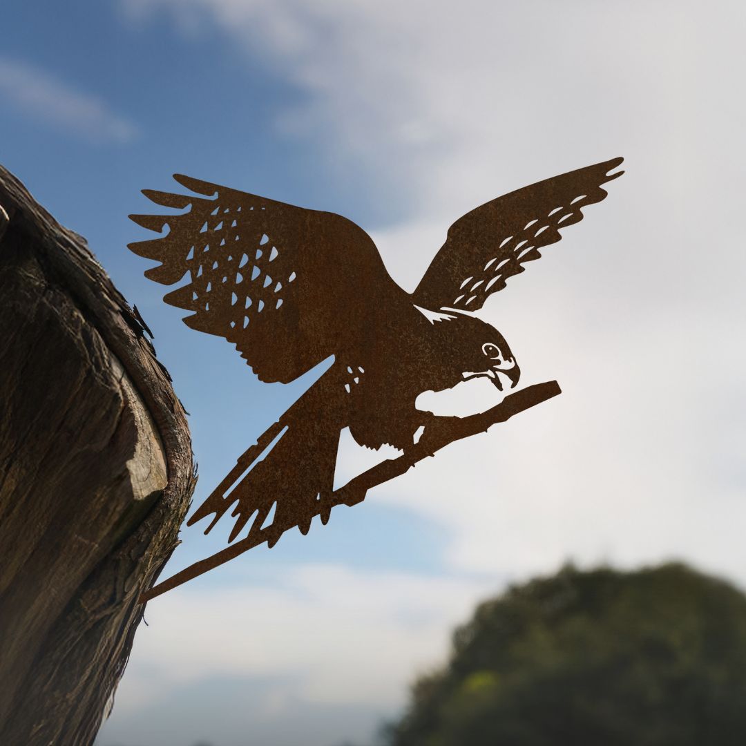 Kārearea: Wings of Glory