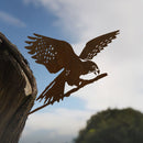 Kārearea: Wings of Glory