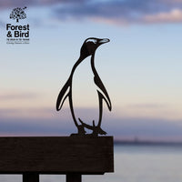 Hoiho / Yellow-eyed Penguin