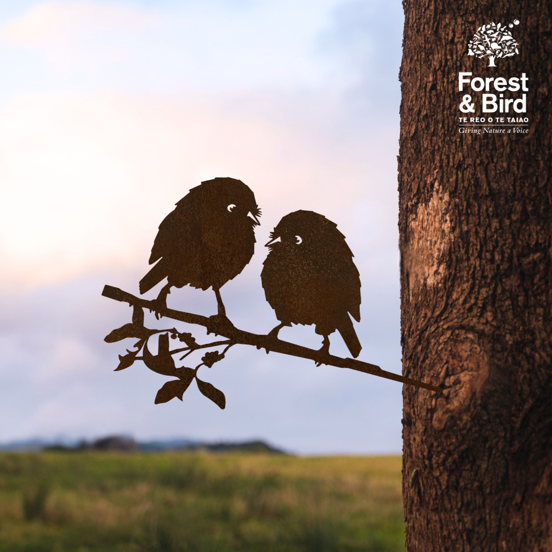 Karure (Black Robin) Pair