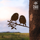 Karure (Black Robin) Pair