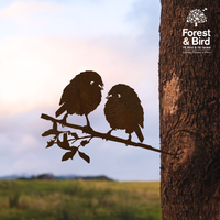 Karure (Black Robin) Pair