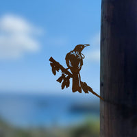 Centennial Tūī