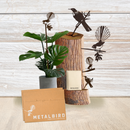 NZCLASSIC24_WOOD (1).png