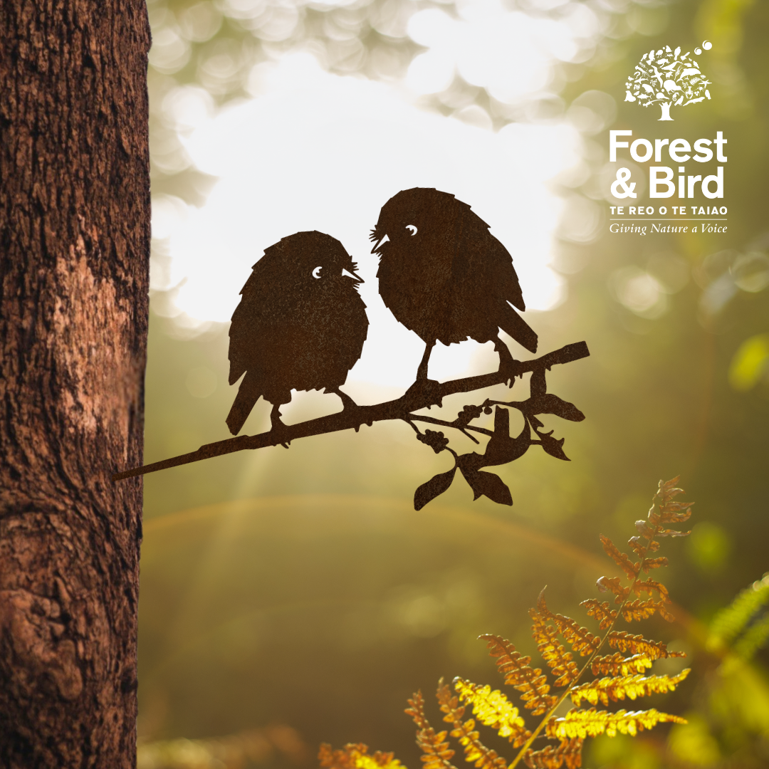Karure (Black Robin) Pair