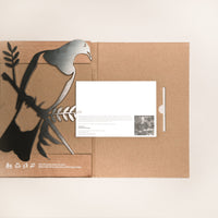 The Kererū Mum & Mini Set by Metalbird New Zealand is a cardboard folder with a Kererū mum and baby cutout, includes a white card inside. This eco-friendly NZ bird design makes a simple, thoughtful Mother's Day gift, featuring printed text and icons.