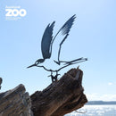 Tara Iti / New Zealand Fairy Tern