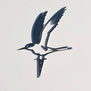 Tara Iti / New Zealand Fairy Tern