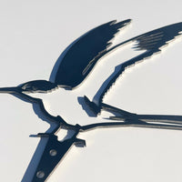 Tara Iti / New Zealand Fairy Tern