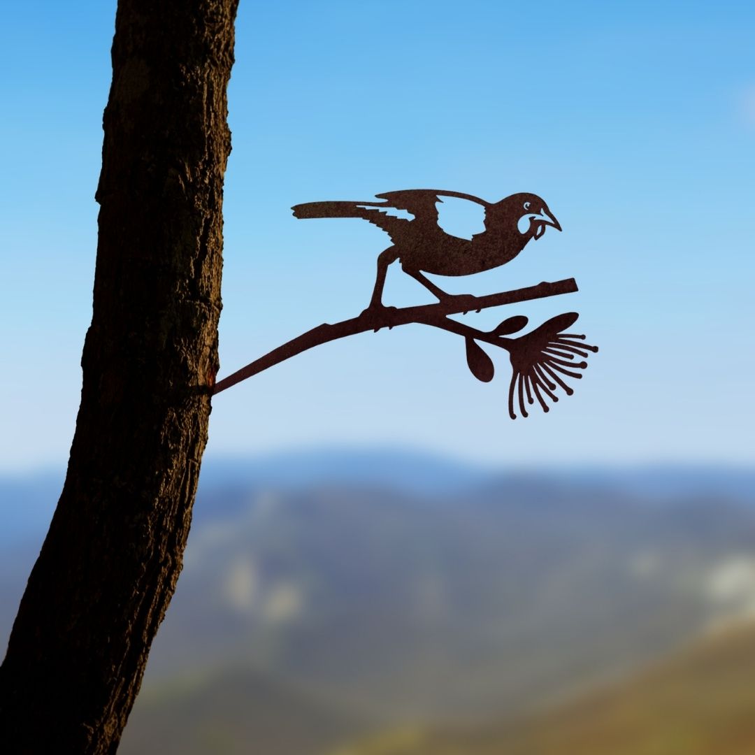 Tīeke / Saddleback