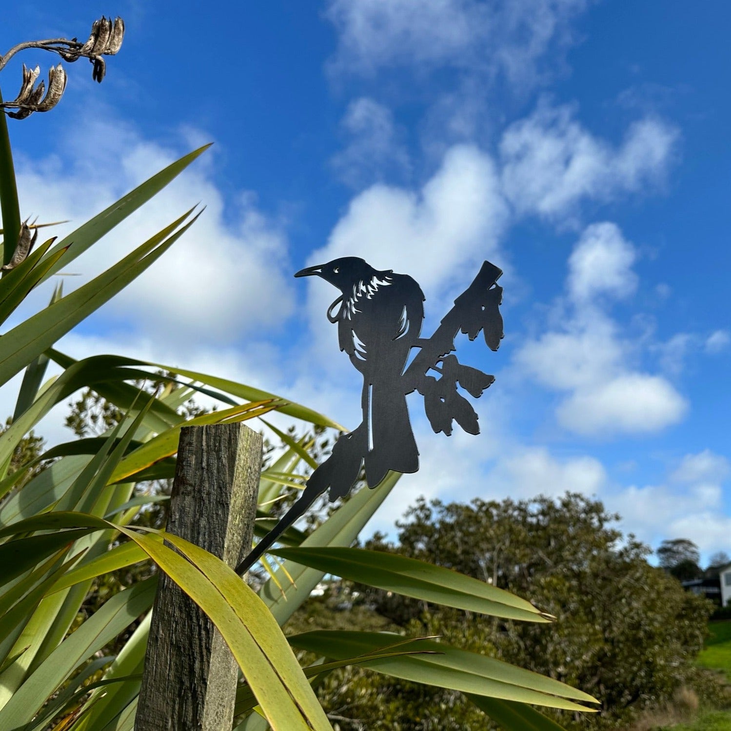 Centennial Tūī