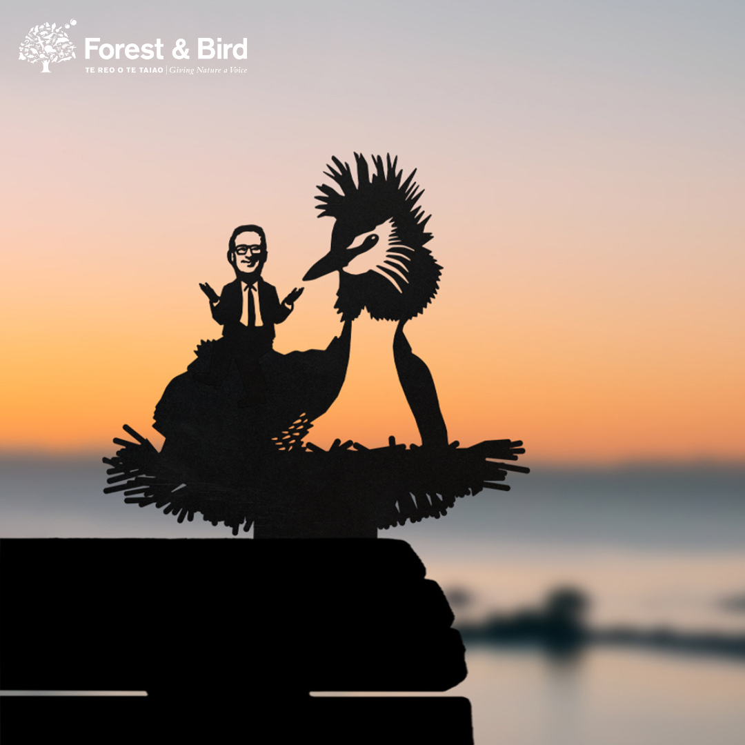 A silhouette of Pūteketeke's Friend—a heron with a person in a suit on its back—rests against a blurred sunset. The Metalbird New Zealand brand and Forest & Bird’s logo appear in the top left corner, echoing bird of the century themes.