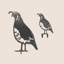 The Metalbird New Zealand Quail Mum & Mini Set features two black metal quail silhouettes, with the mum in front and mini behind—ideal as lifelike quail decor or a charming NZ garden gift.