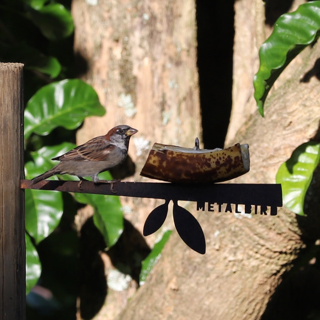 Stick Bird Feeder