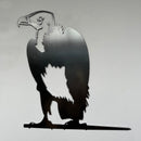 White-Headed Vulture