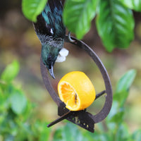Hanging Bird Feeder