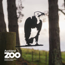 White-Headed Vulture