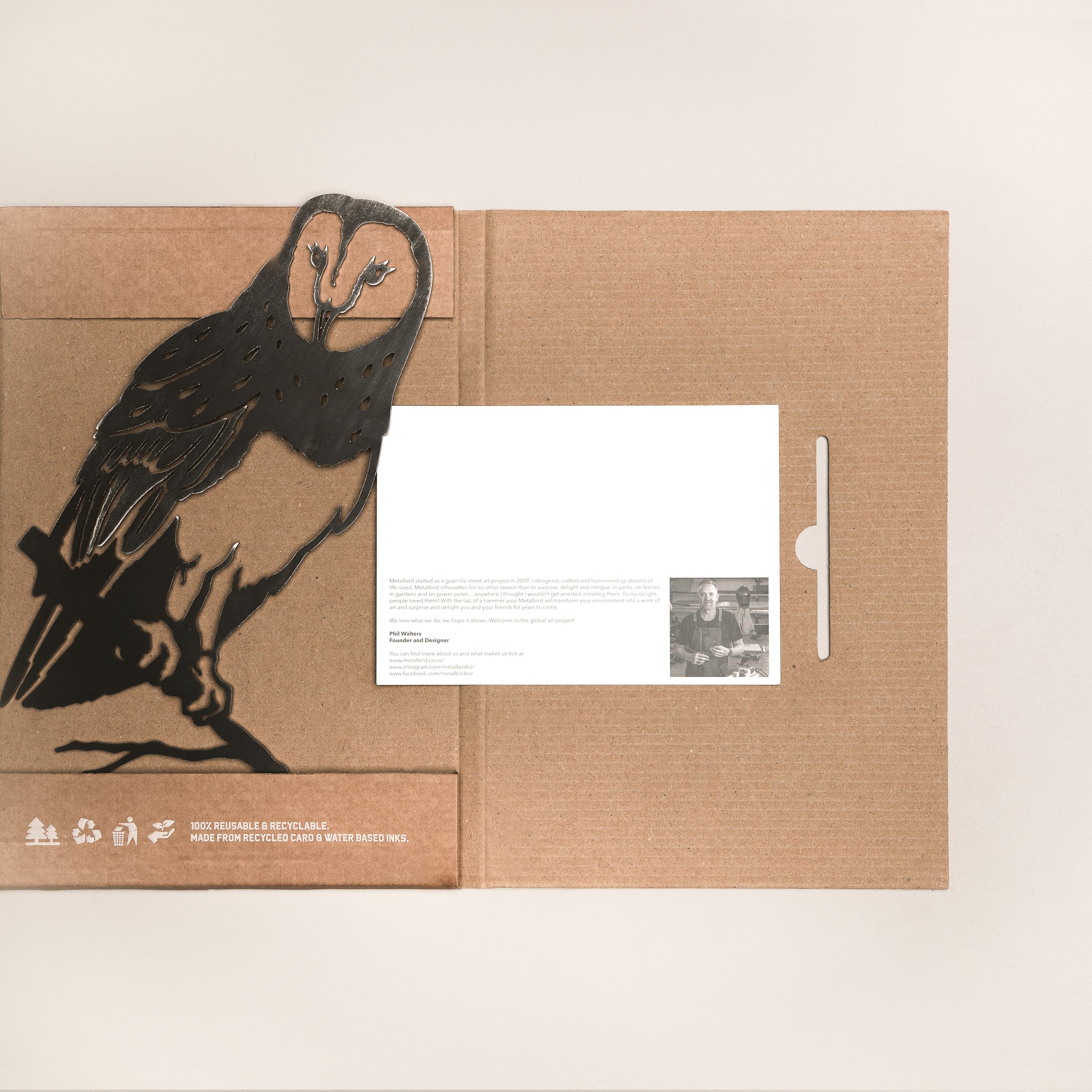 Barn Owl