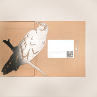Kāhu