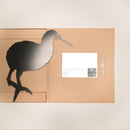 Brown Kiwi