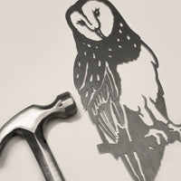 Barn Owl