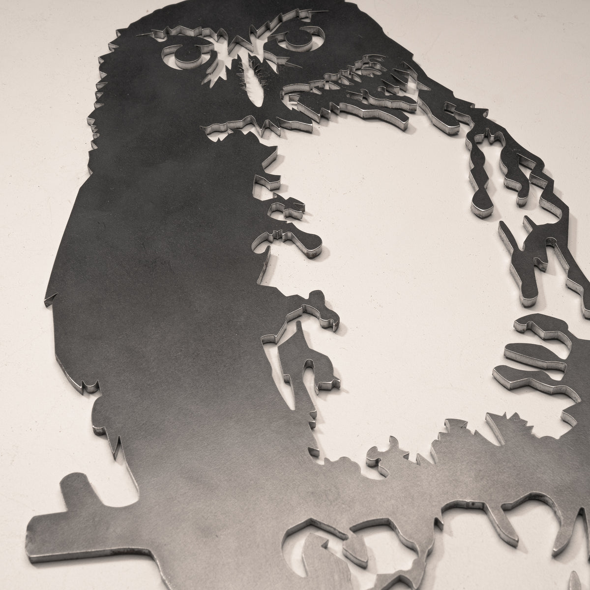 Close-up of the Ruru eyes and feather cutouts in steel.