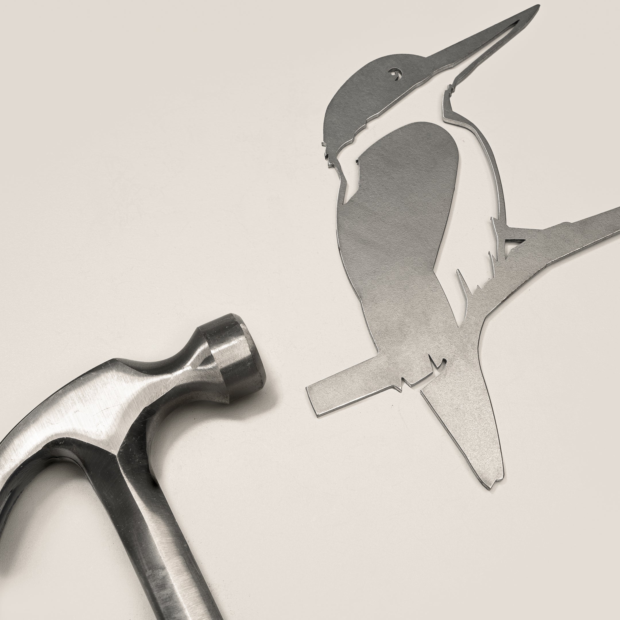 Kōtare / Kingfisher