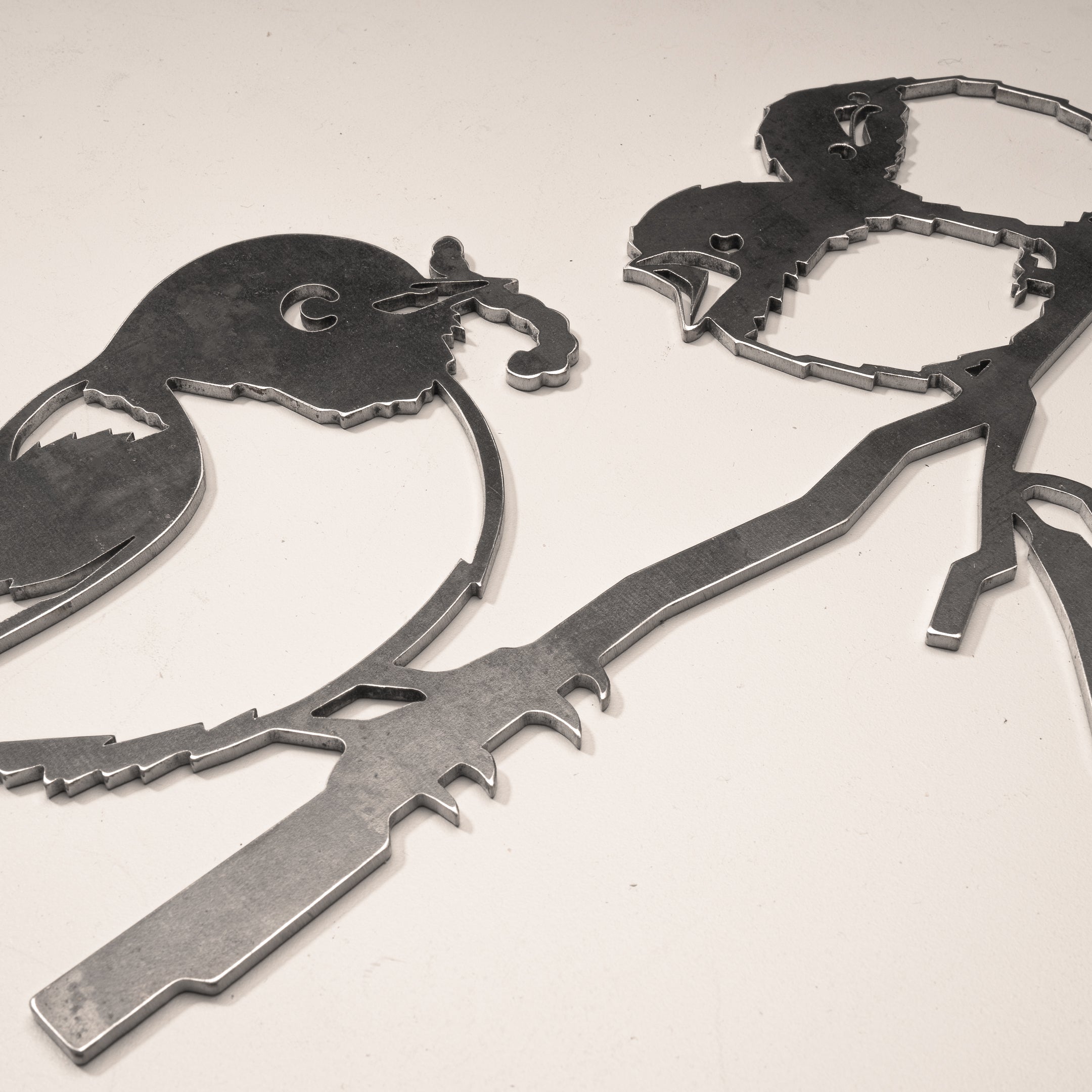 Waxeye / Tauhou & Chicks