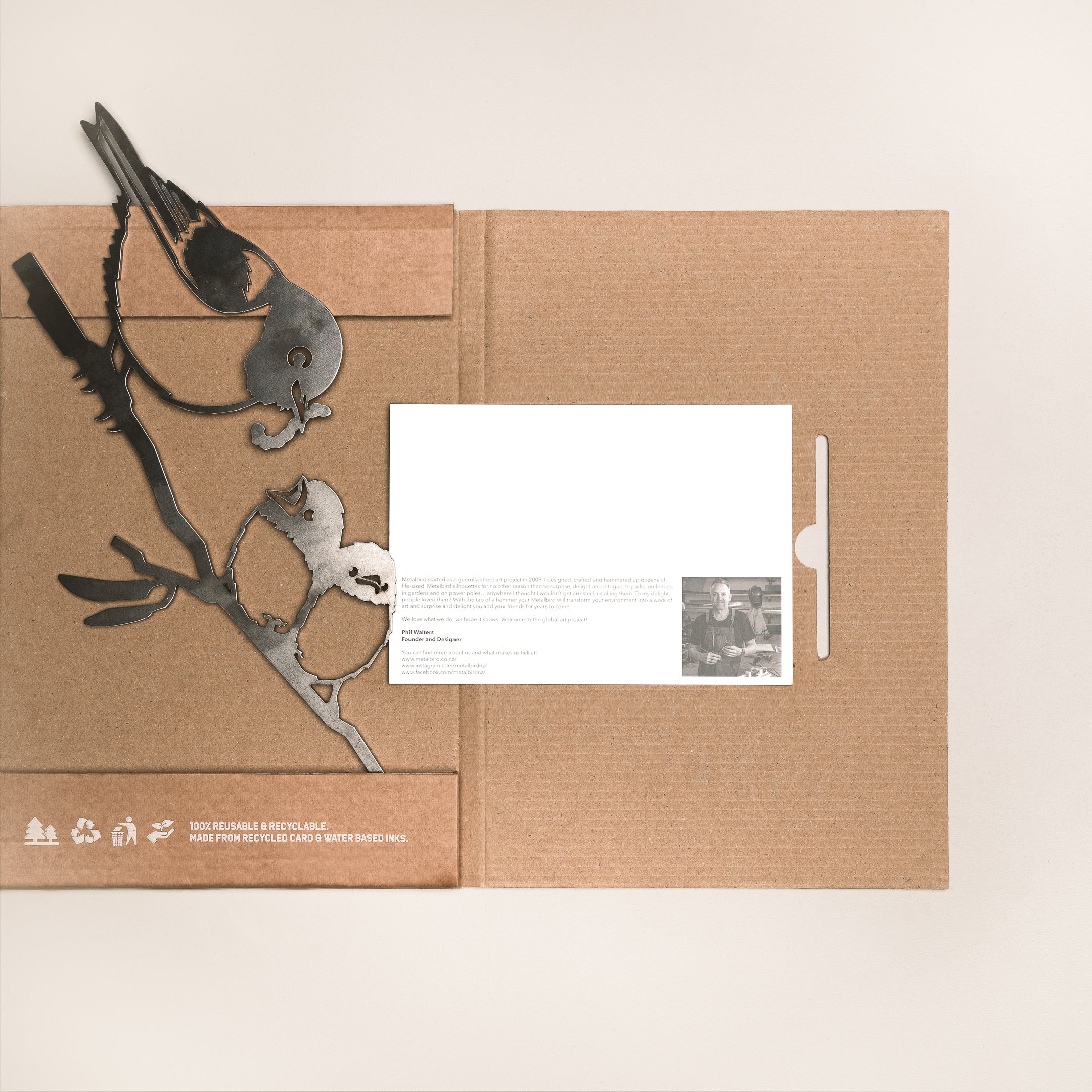 Waxeye / Tauhou & Chicks