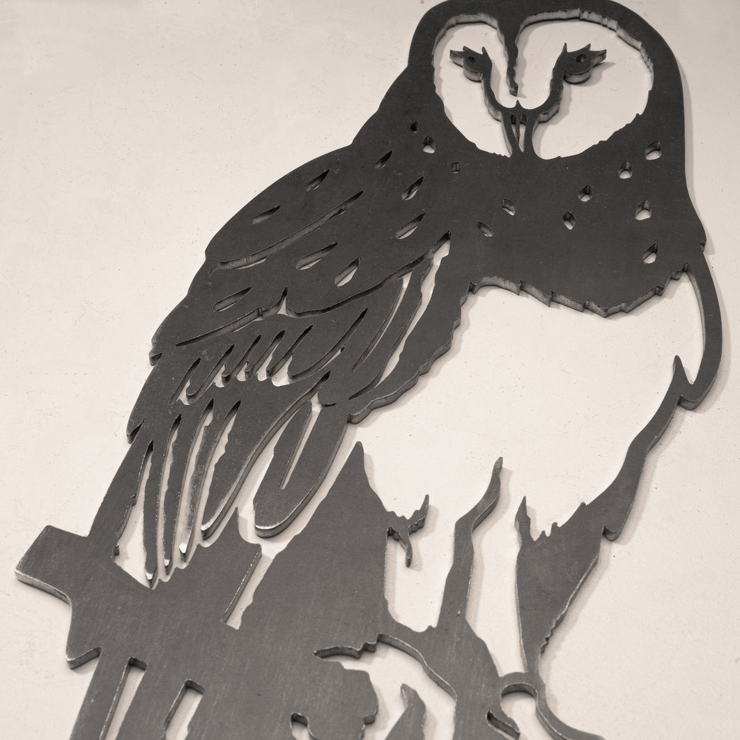 Barn Owl